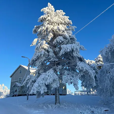 Huoneisto Törrö As10, Tyylikäs 1-4hlö Yläkerran Päätyhuoneisto Jokinäkymällä *